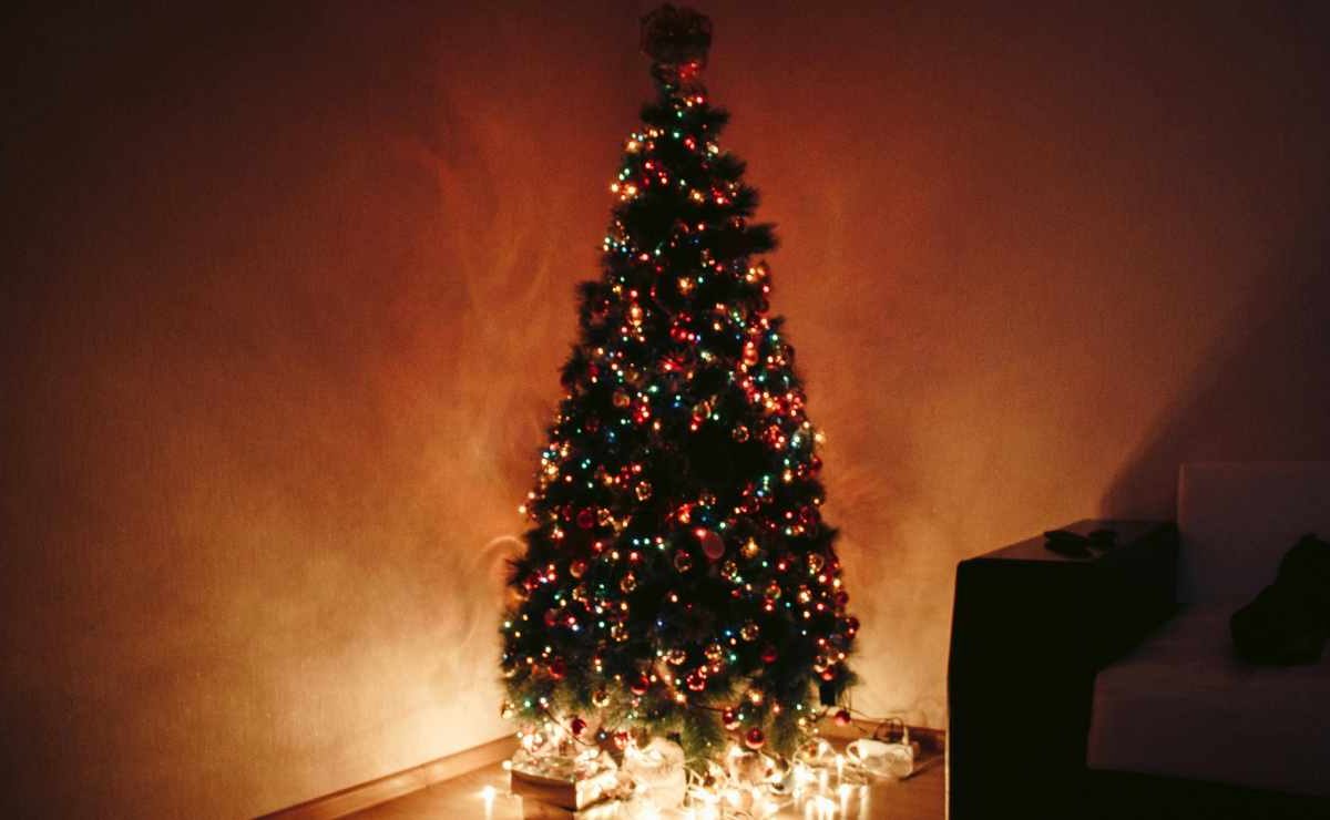 Famiglie italiane in lacrime: nuova “tassa natalizia” da 204 euro | Ecco quanto ci costano lucine e regali