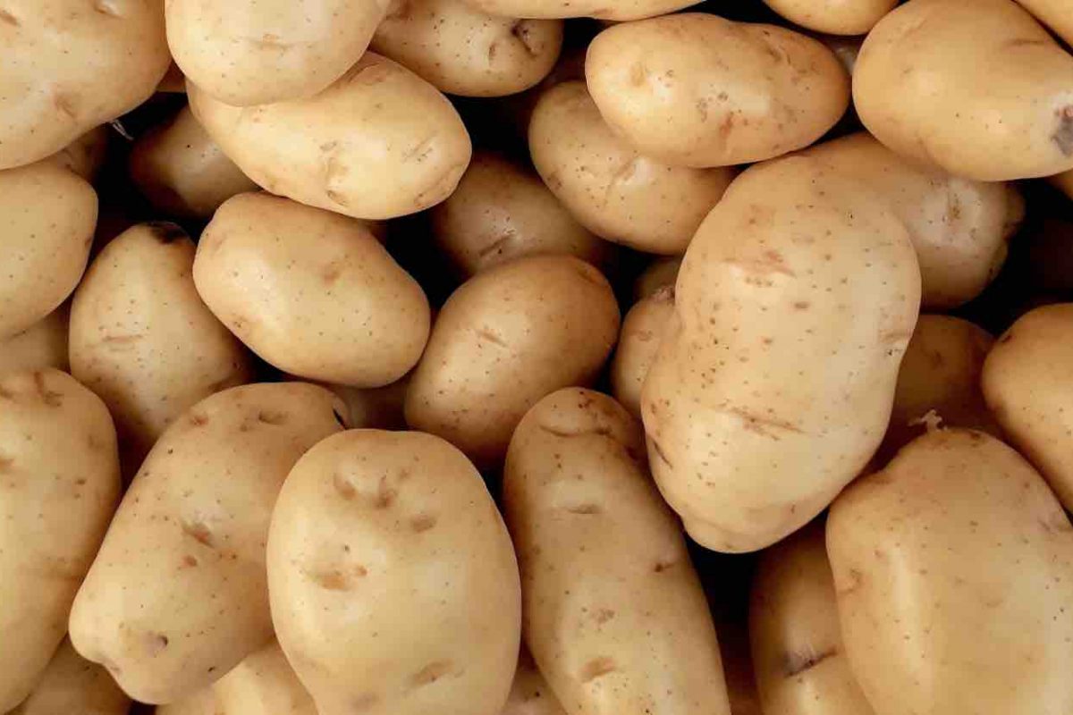 Patate, dove conservarle per farle durare a lungo: c’è un metodo perfetto e in pochi lo conoscono
